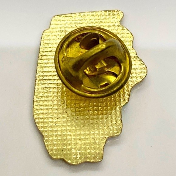 State of Illinois Chicago Peoria Springfield Pin Button Badge Lapel Pin Hat Pin - Picture 2 of 3